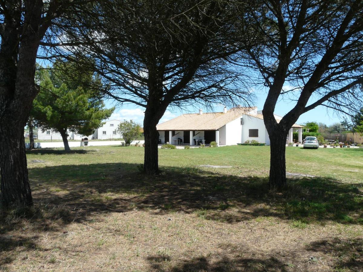 Mas Du Clos De La Barque Saintes-Maries-de-la-Mer Exterior photo